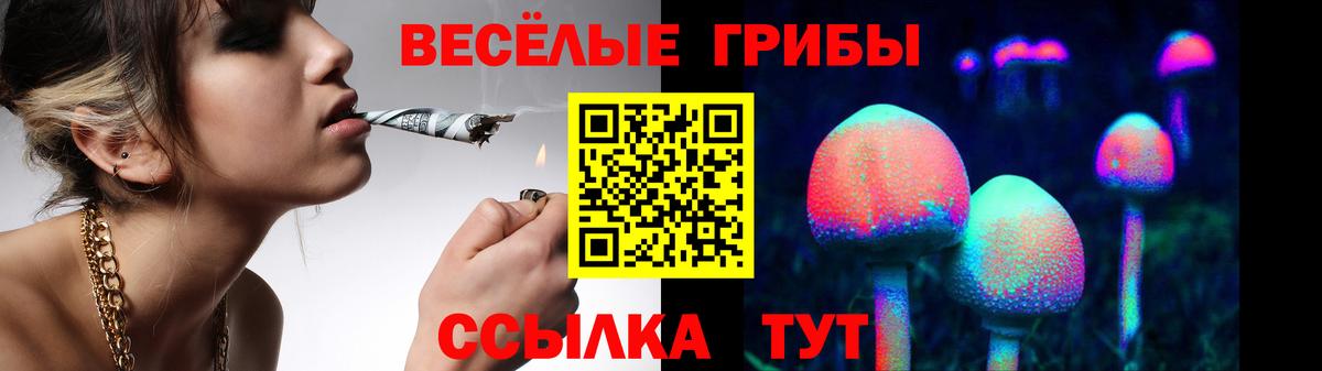 цена наркотик  Вход с VPN  Галлюциногенные грибы Magic Shrooms  Янаул  Галлюциногенные грибы мухоморы 